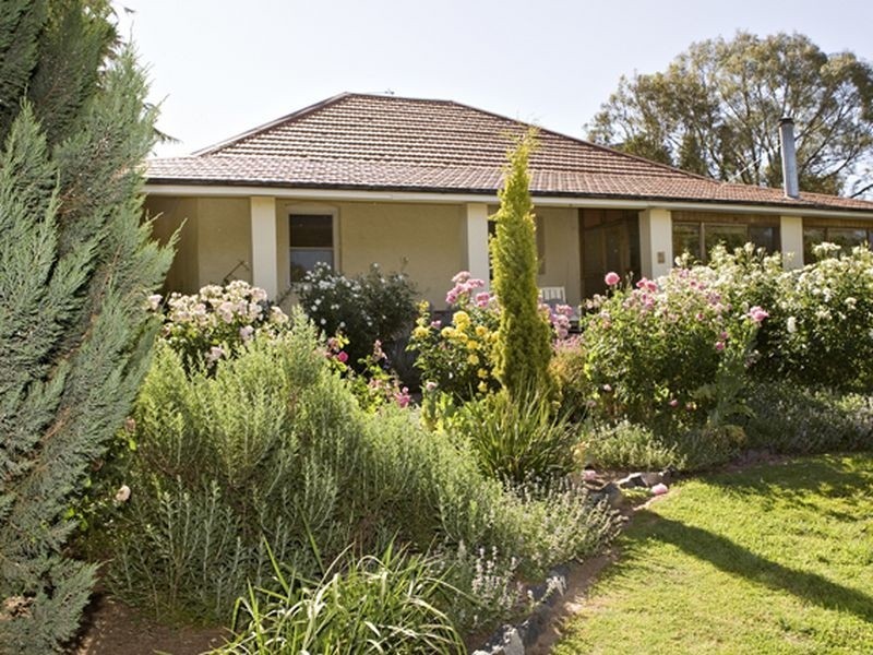 00 Tanah Merah Back Wombat Road WOMBAT, Young NSW 2594