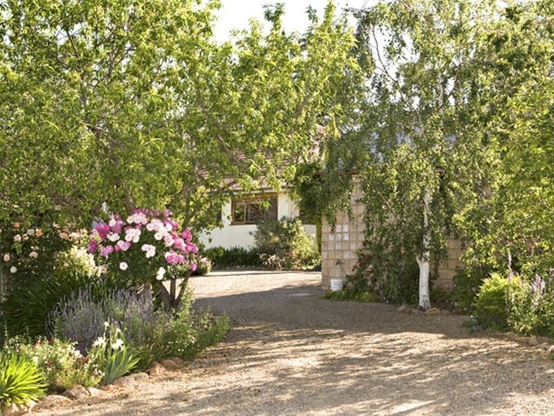 00 Tanah Merah Back Wombat Road WOMBAT, Young NSW 2594