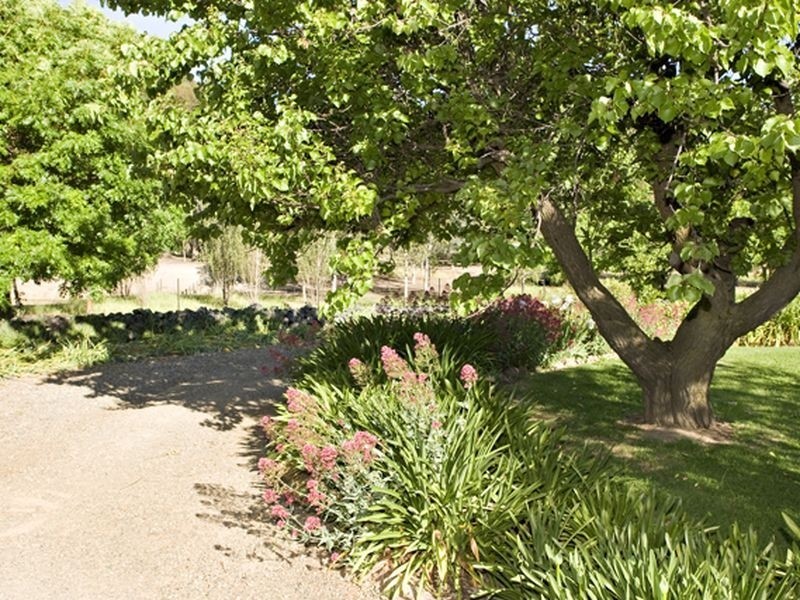 00 Tanah Merah Back Wombat Road WOMBAT, Young NSW 2594