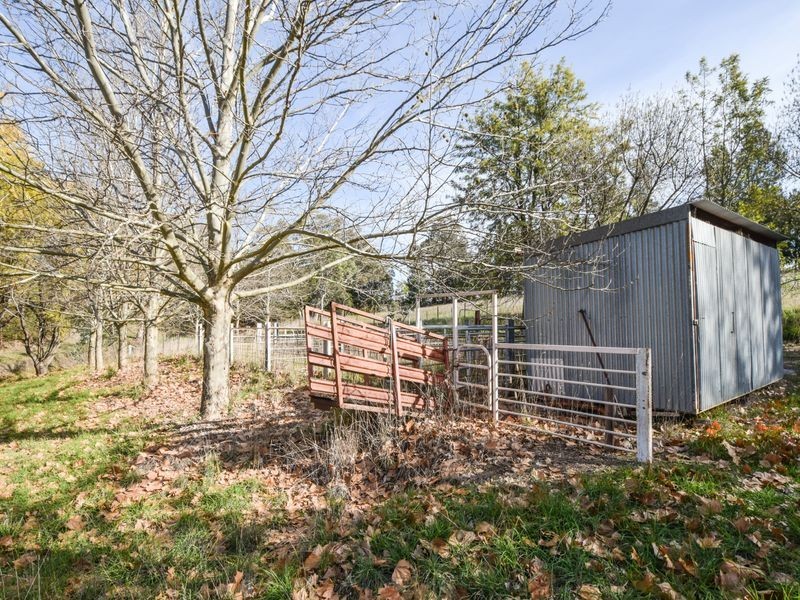 120 Ratho Road, Young NSW 2594