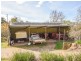 120 Ratho Road, Young NSW 2594