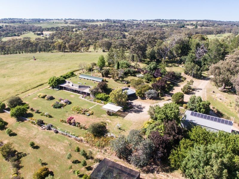 120 Ratho Road, Young NSW 2594