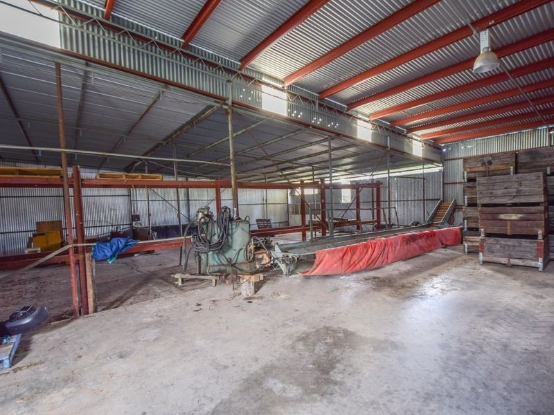 1304 Scenic Rd MONTEAGLE, Young NSW 2594