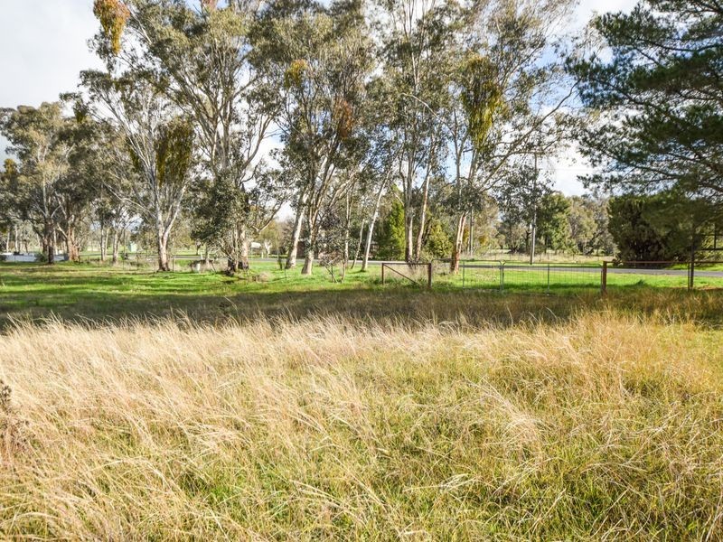 1304 Scenic Rd MONTEAGLE, Young NSW 2594