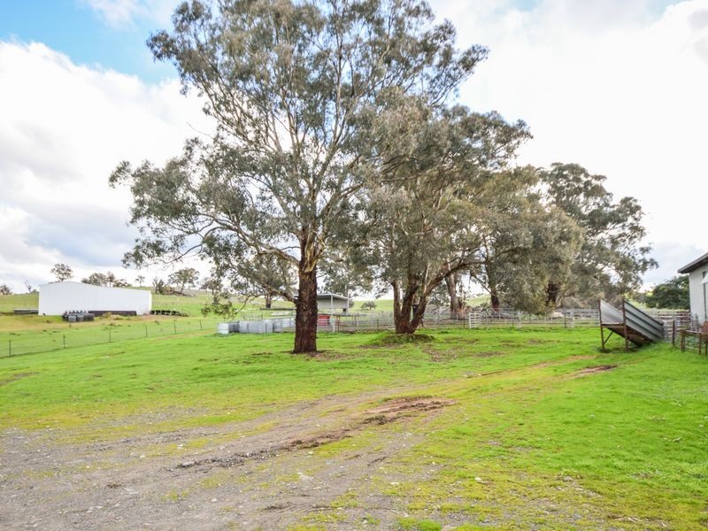 3243 Wargeila Road, Yass NSW 2582
