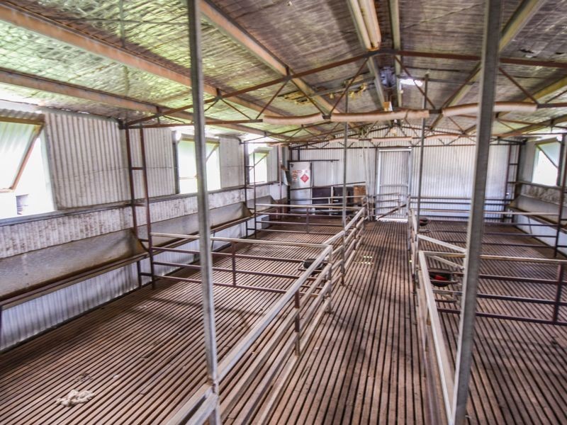 3243 Wargeila Road, Yass NSW 2582