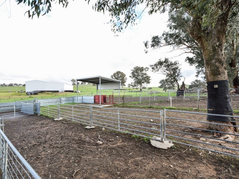 3243 Wargeila Road, Yass NSW 2582