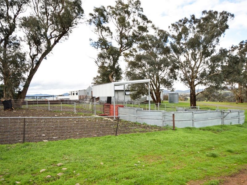 3243 Wargeila Road, Yass NSW 2582