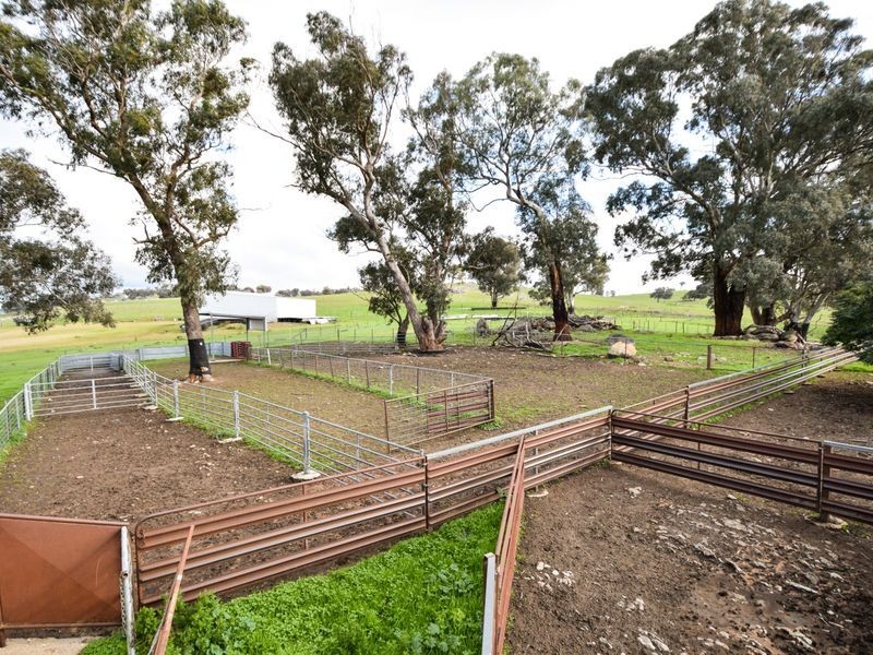 3243 Wargeila Road, Yass NSW 2582