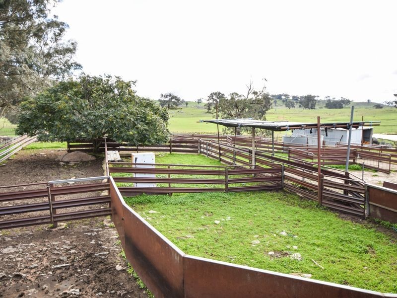 3243 Wargeila Road, Yass NSW 2582
