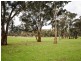 3243 Wargeila Road, Yass NSW 2582