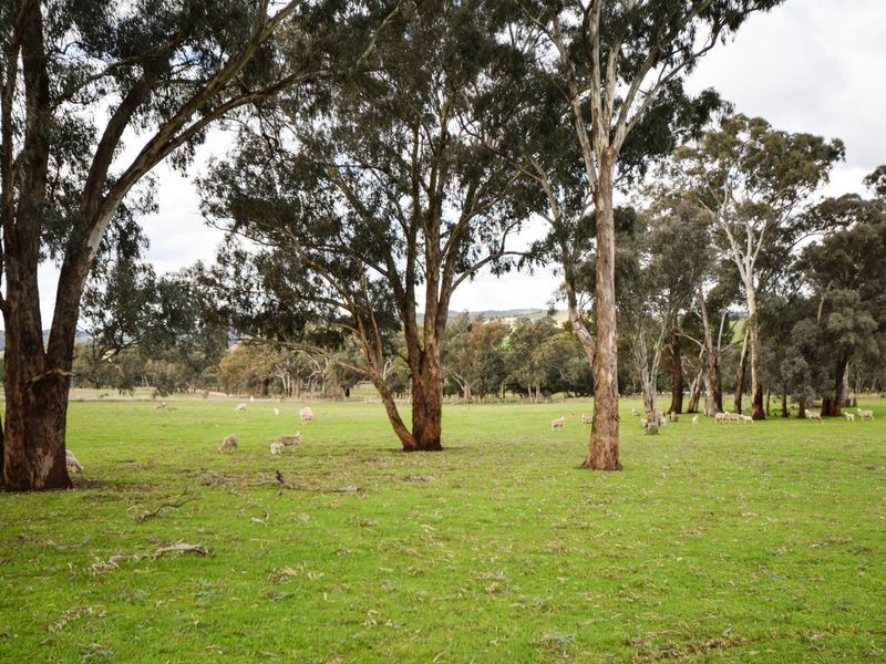 3243 Wargeila Road, Yass NSW 2582