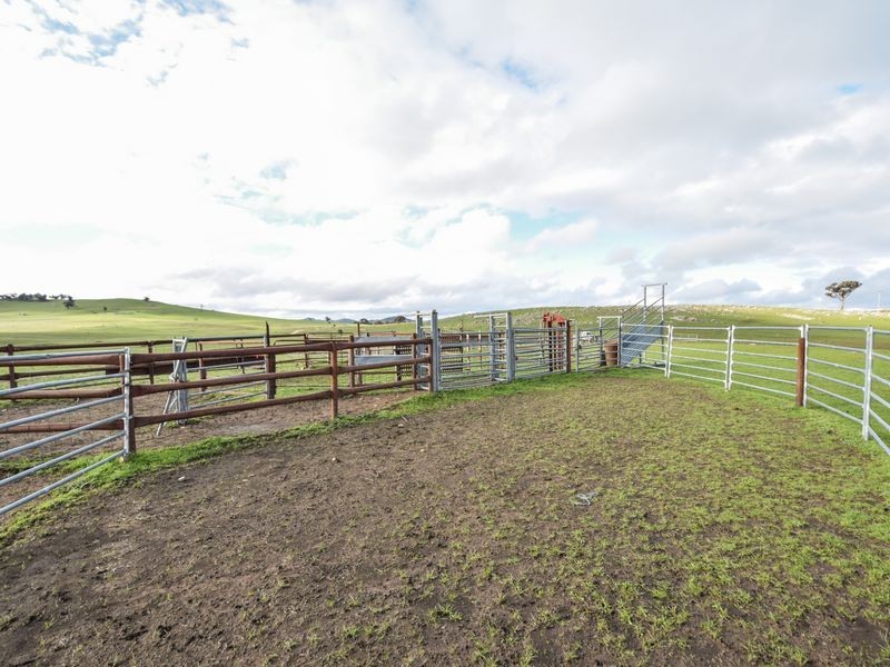 3243 Wargeila Road, Yass NSW 2582