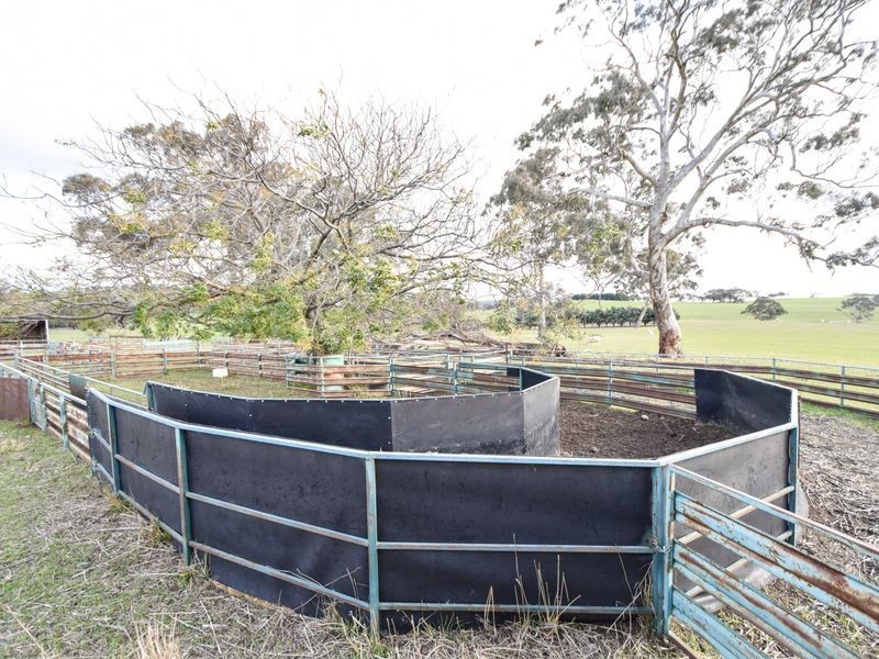 3243 Wargeila Road, Yass NSW 2582