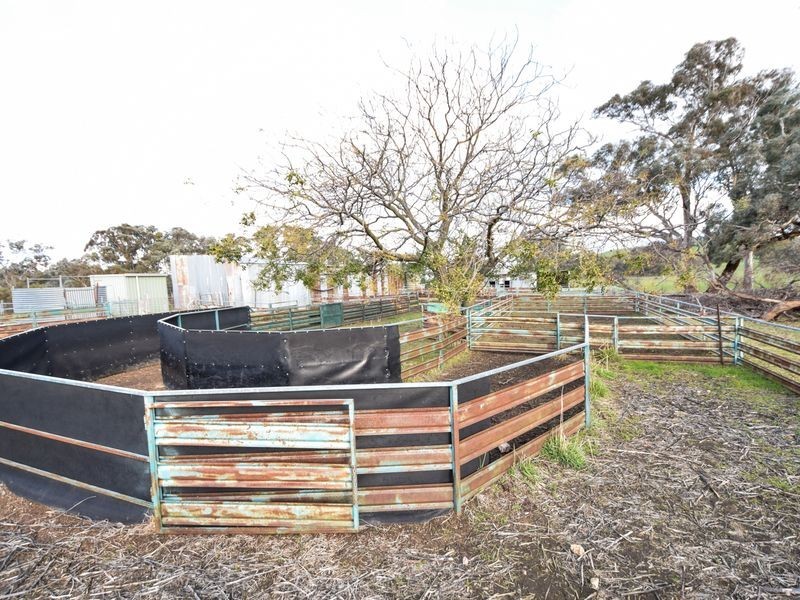 3243 Wargeila Road, Yass NSW 2582