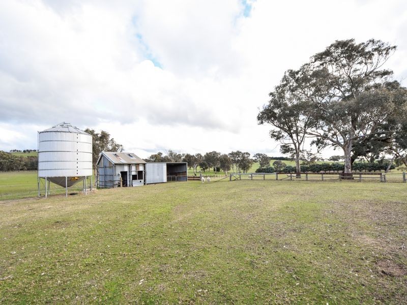 3243 Wargeila Road, Yass NSW 2582