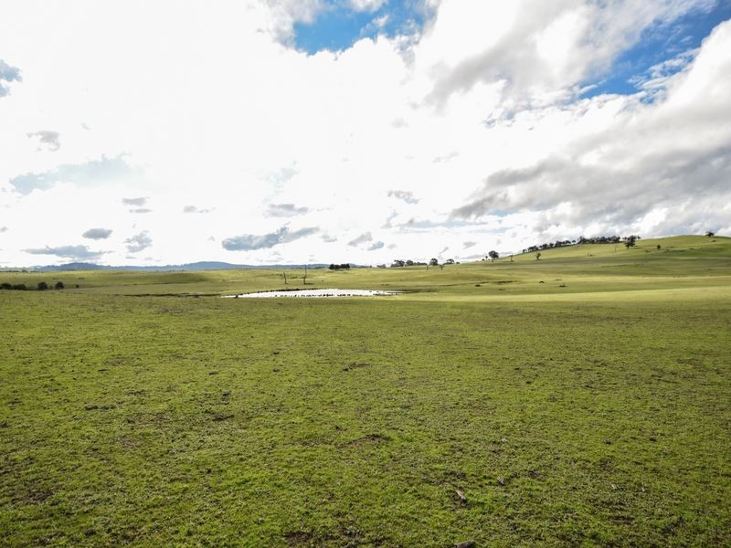 3243 Wargeila Road, Yass NSW 2582