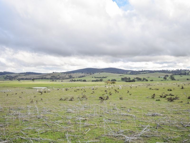 3243 Wargeila Road, Yass NSW 2582