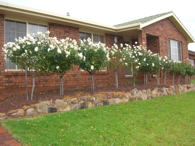 3 Mathew Street, Young NSW 2594