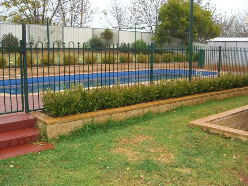 3 Mathew Street, Young NSW 2594