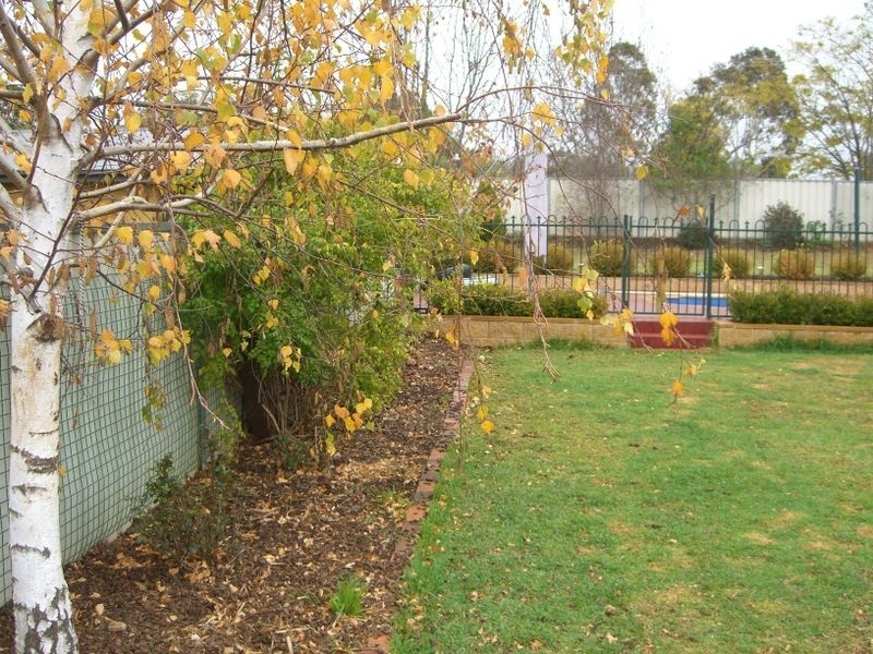 3 Mathew Street, Young NSW 2594