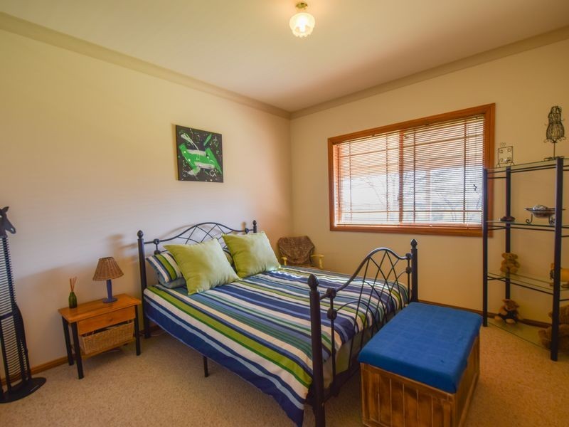 20 Boundary Road, Young NSW 2594
