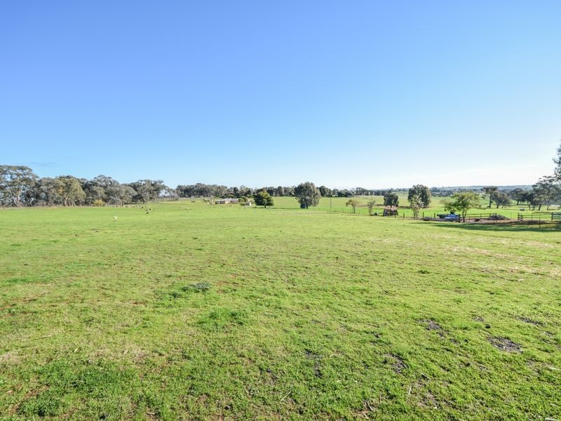 20 Boundary Road, Young NSW 2594
