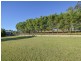 20 Boundary Road, Young NSW 2594