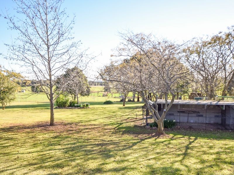 20 Boundary Road, Young NSW 2594