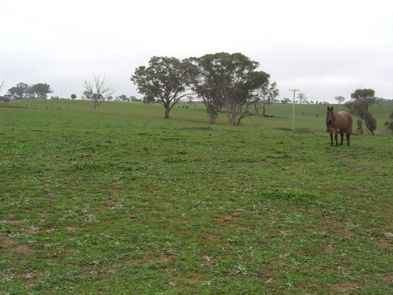 69 Noonan’s Road, Young NSW 2594