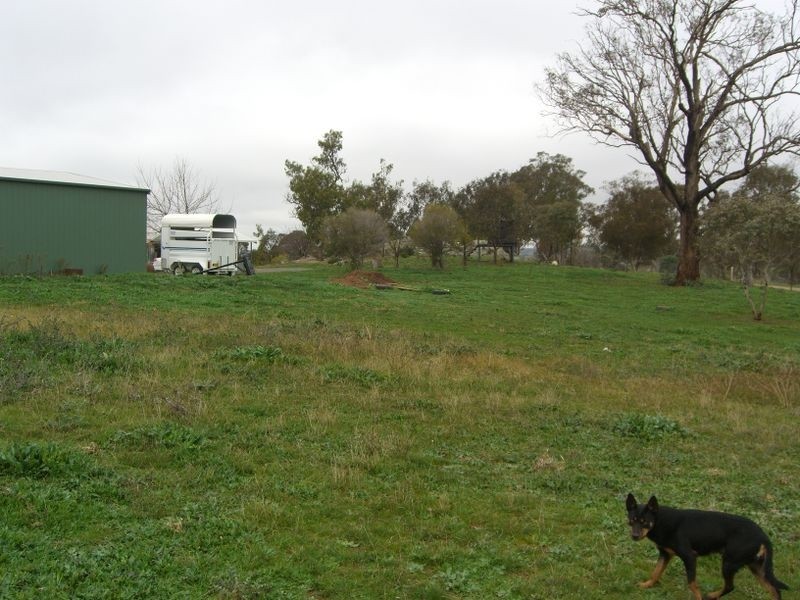 69 Noonan’s Road, Young NSW 2594