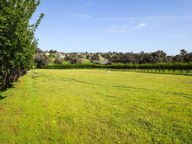 88 Willawong Street, Young NSW 2594