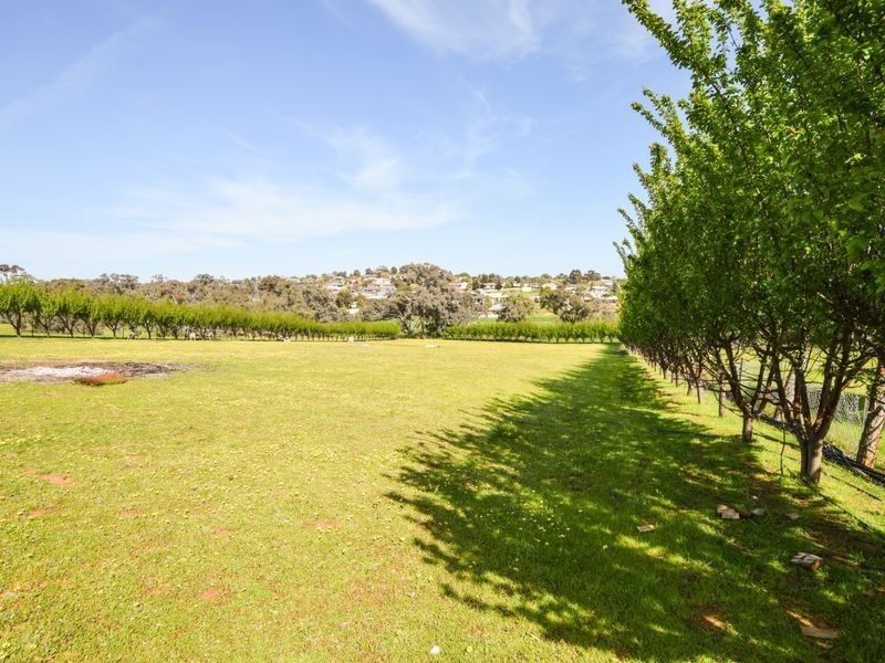 88 Willawong Street, Young NSW 2594