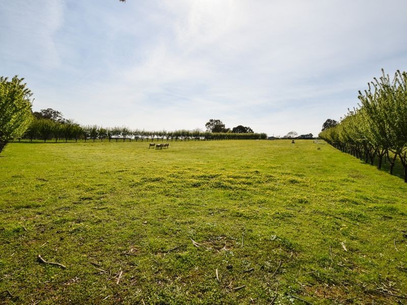 88 Willawong Street, Young NSW 2594