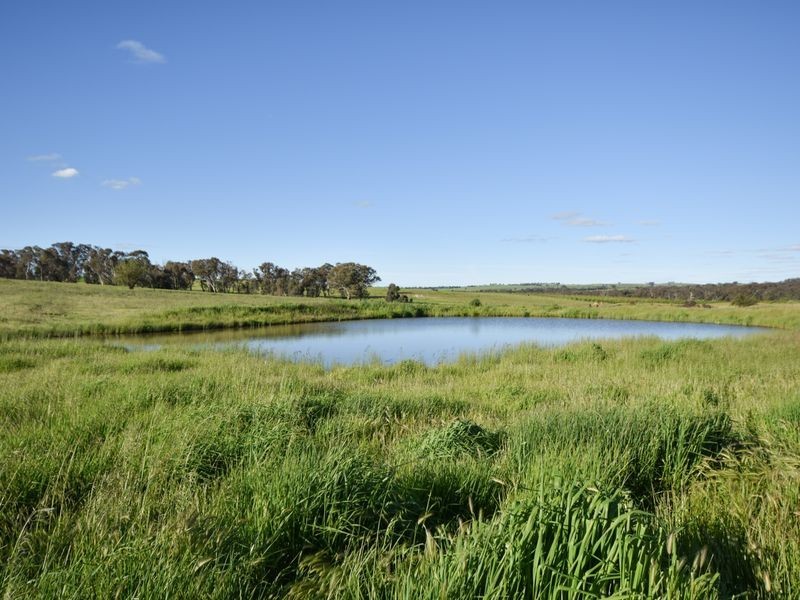 100 Waterview Road Monteagle, Young NSW 2594