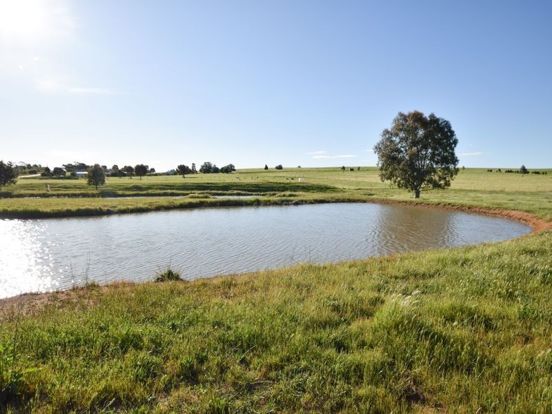 100 Waterview Road Monteagle, Young NSW 2594