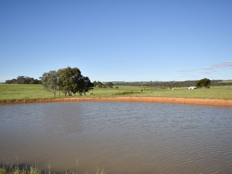 100 Waterview Road Monteagle, Young NSW 2594