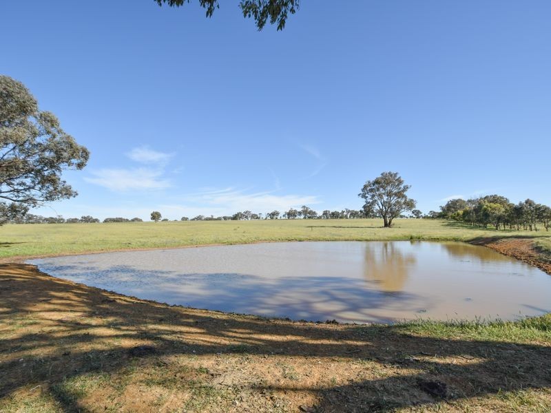 00 Watsons Rd MURRINGO, Young NSW 2594