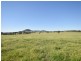 00 Watsons Rd MURRINGO, Young NSW 2594