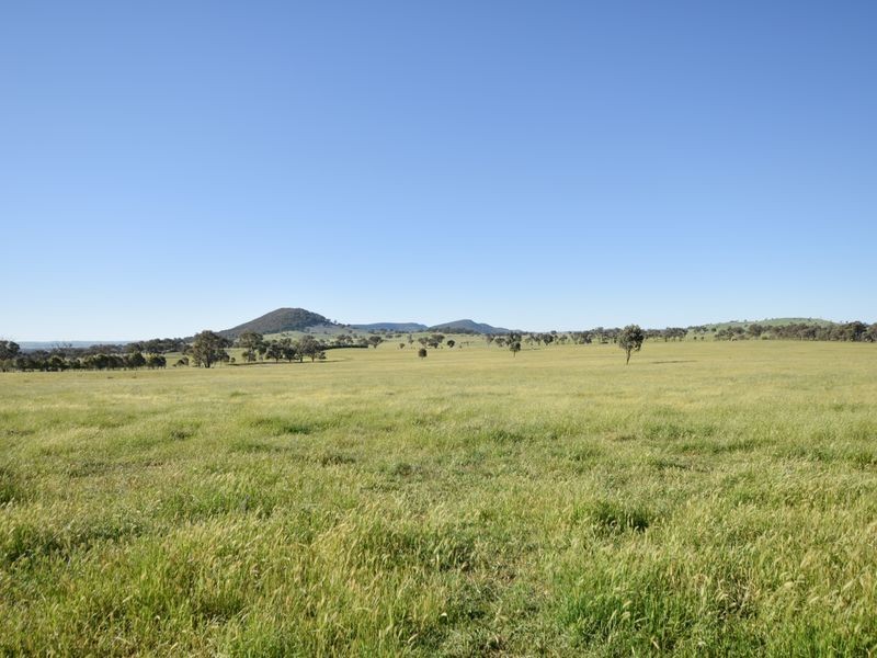 00 Watsons Rd MURRINGO, Young NSW 2594