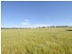 00 Watsons Rd MURRINGO, Young NSW 2594