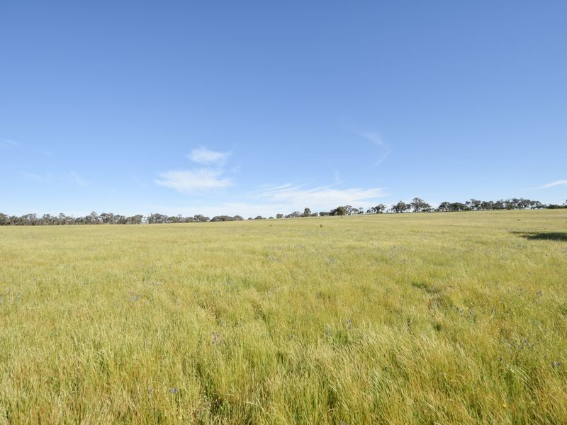 00 Watsons Rd MURRINGO, Young NSW 2594