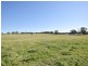 00 Watsons Rd MURRINGO, Young NSW 2594