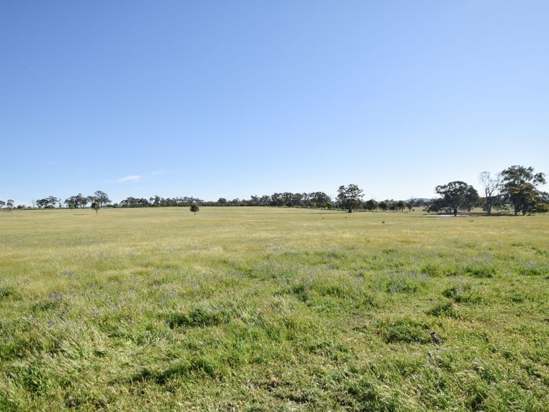 00 Watsons Rd MURRINGO, Young NSW 2594