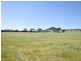 00 Watsons Rd MURRINGO, Young NSW 2594
