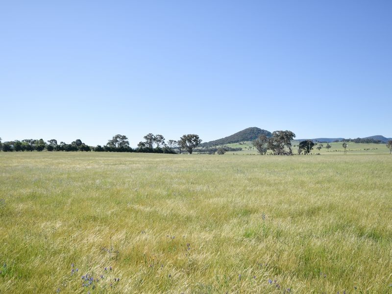 00 Watsons Rd MURRINGO, Young NSW 2594