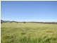 00 Watsons Rd MURRINGO, Young NSW 2594