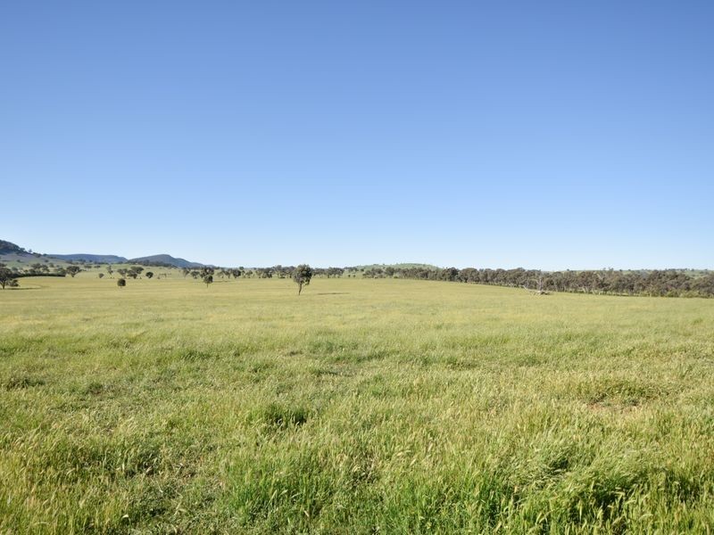 00 Watsons Rd MURRINGO, Young NSW 2594