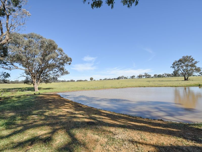 00 Watsons Rd MURRINGO, Young NSW 2594