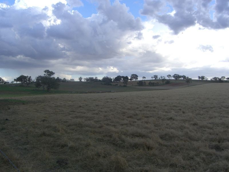 262 Nubba Road, Young NSW 2594